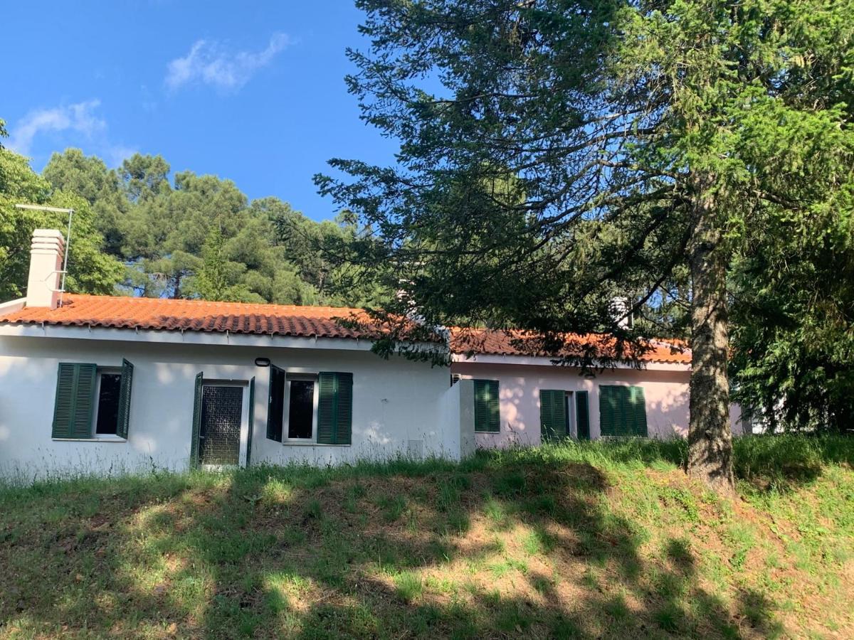 Bel Douro Villa Torre De Moncorvo Kültér fotó